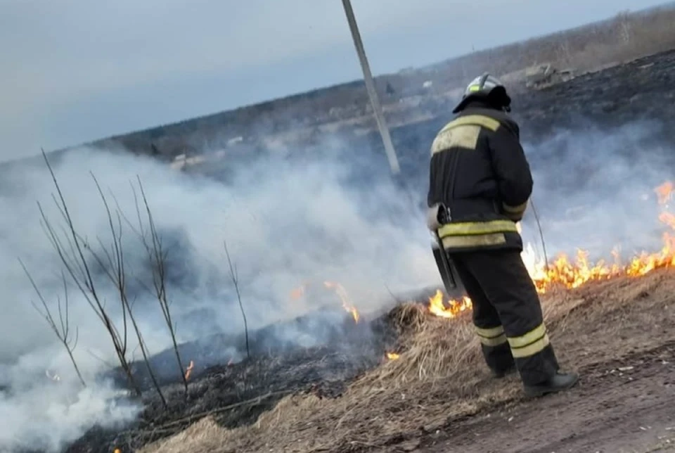 Большая часть пожаров происходит из-за неосторожного обращения с огнем