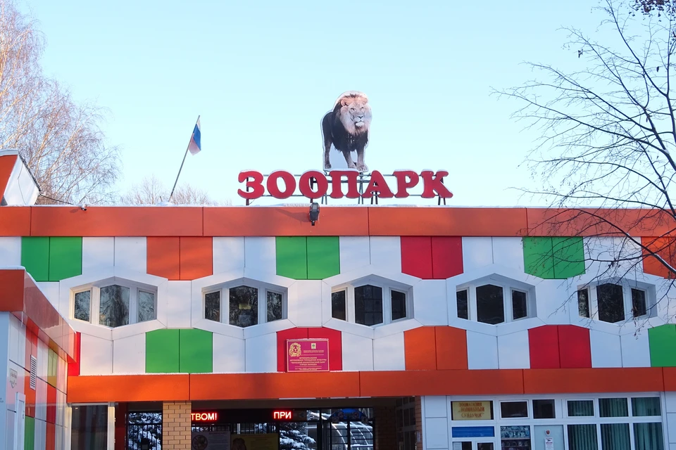В липецком зоопарке пополнение
