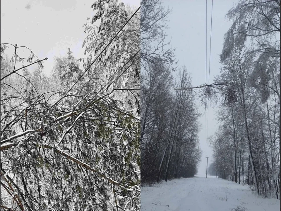 Из-за сильных снегопадов в Беларуси объявили на 2 апреля оранжевый уровень опасности. Фото: Telegram-канал «Минэнерго Официальный»