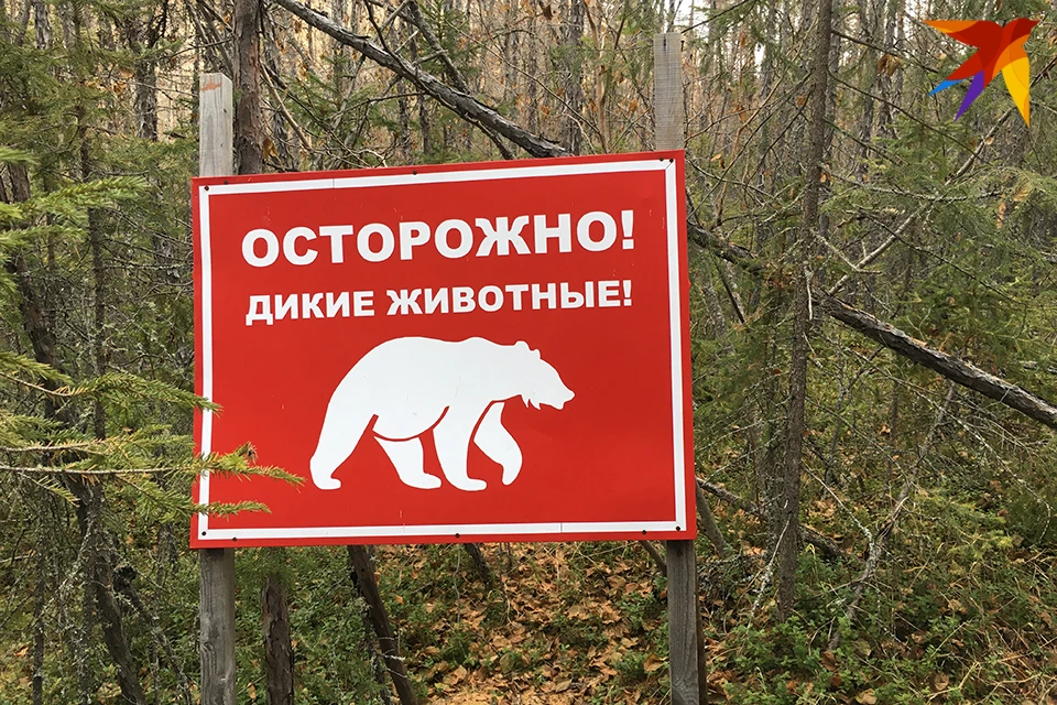 Весна в Мурманской области пока больше напоминает зиму, но природа уже просыпается.