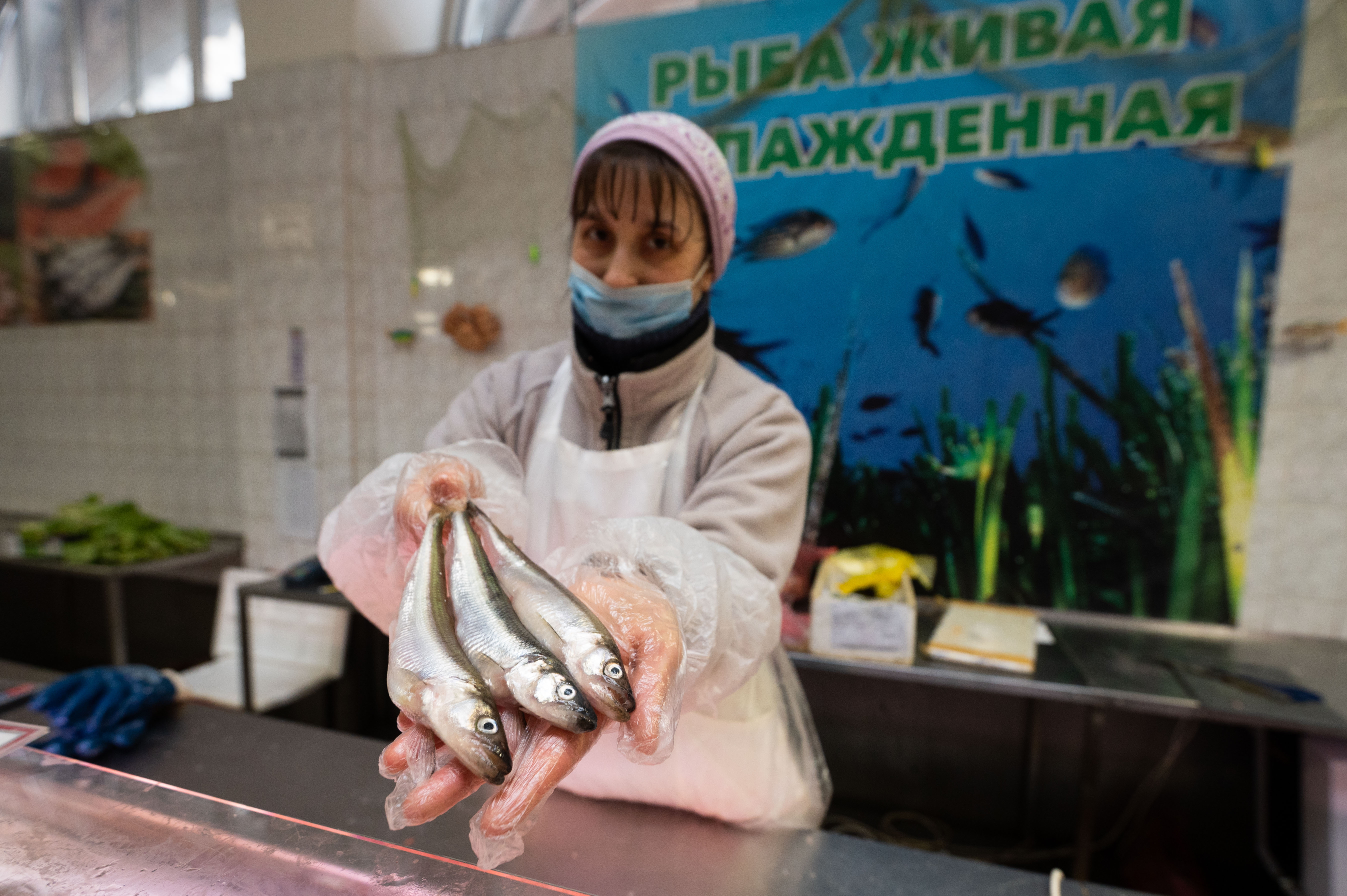 Сезон корюшки в Петербурге еще не начался, а рыбой с запахом огурцов уже забиты все прилавки.