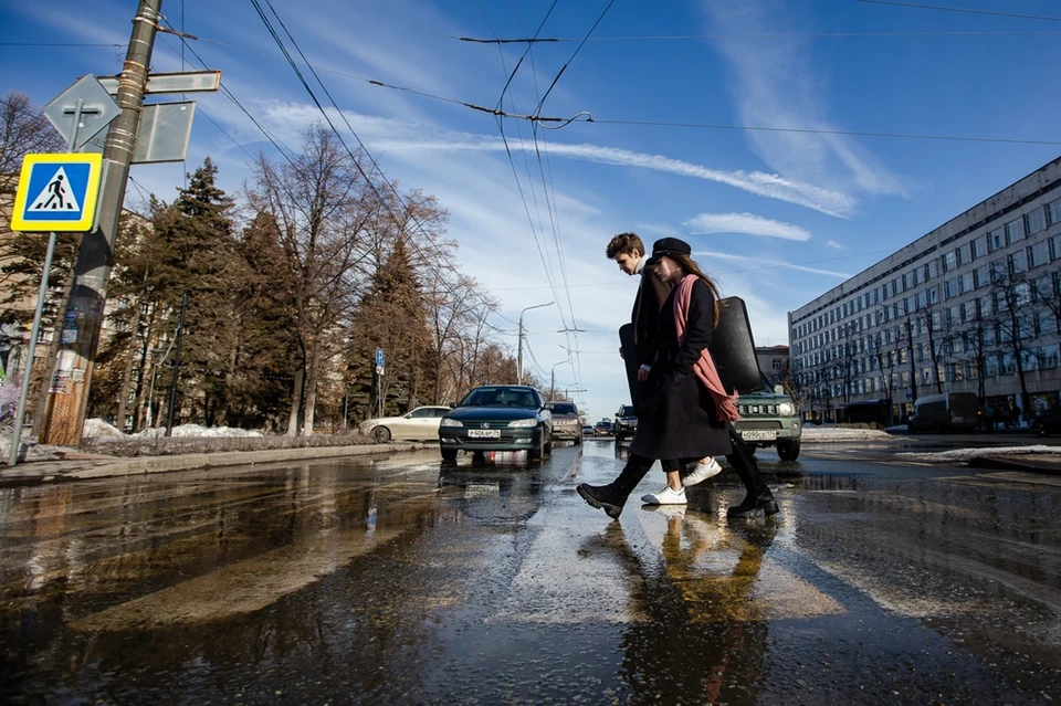 Школьники шли по зебре.