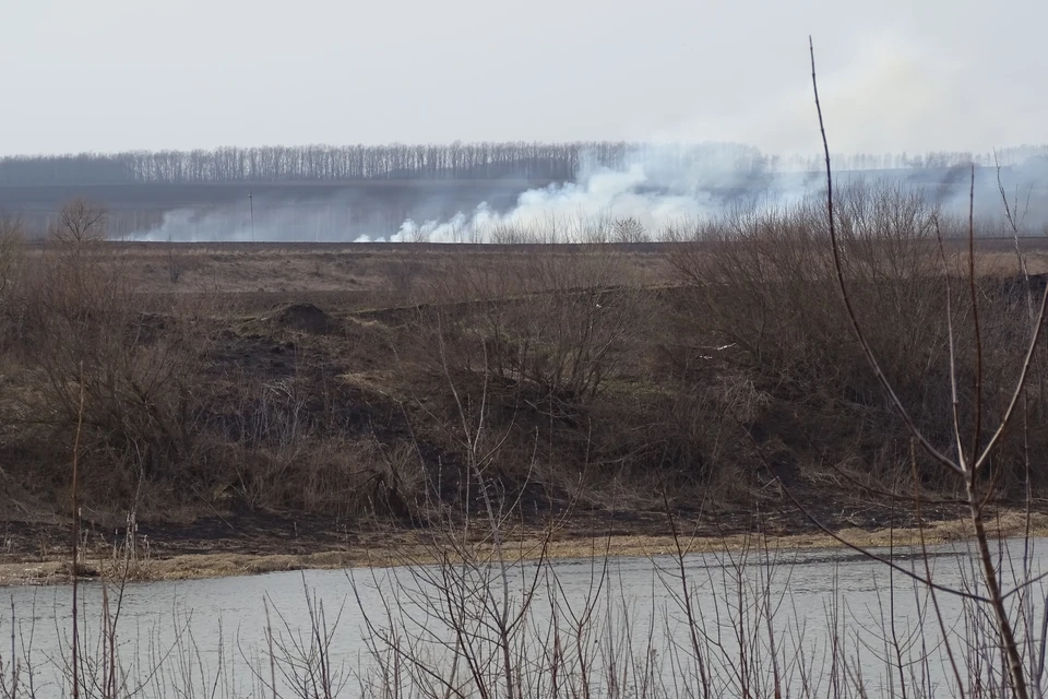 В Липецкой области начался пожароопасный период