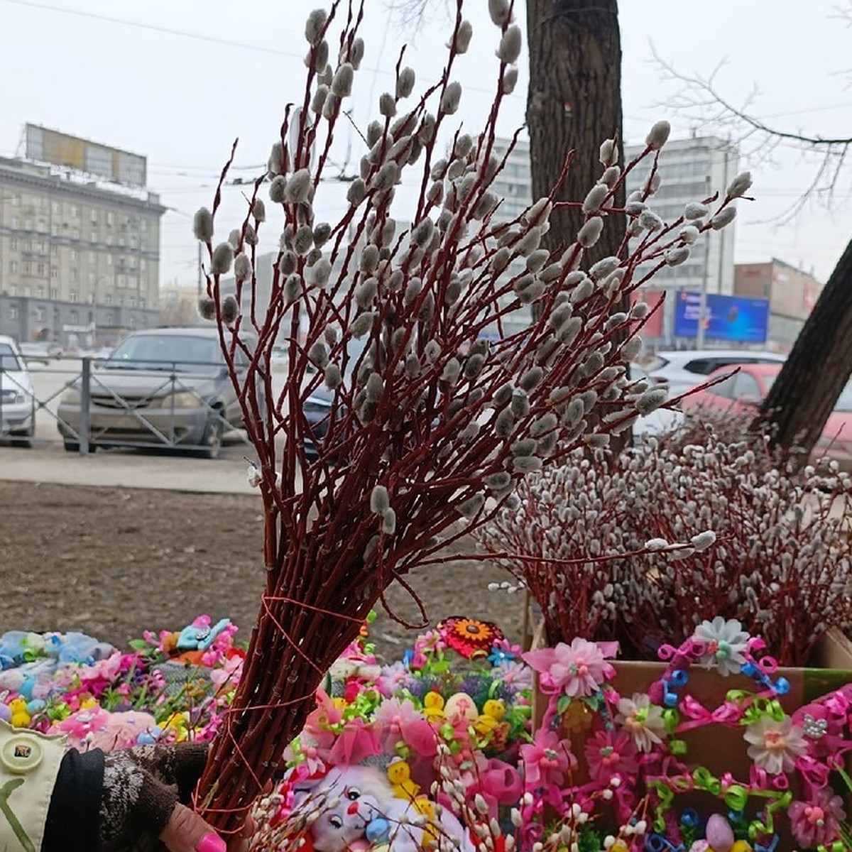 На улицах Новосибирска начали торговать вербой к христианскому празднику -  KP.RU