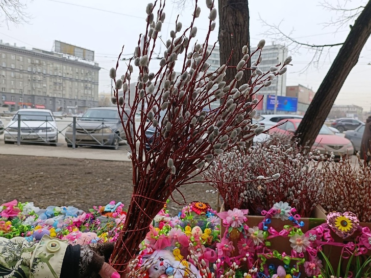 На улицах Новосибирска начали торговать вербой к христианскому празднику -  KP.RU