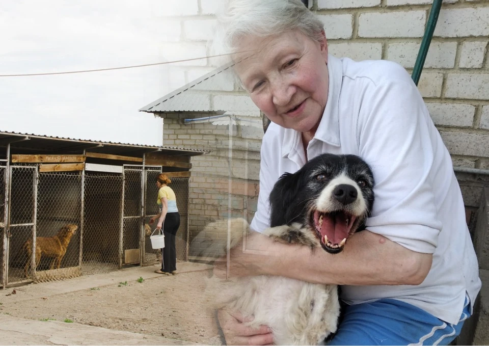 Помогает животным Татьяна Семеновна уже больше 30 лет. Фото: ЧГООЗЖ Приют "Друг"