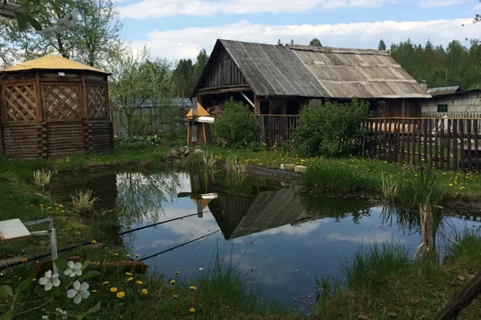 Домик в деревне для многих белорусов является роскошью, которую они не могут себе позволить.