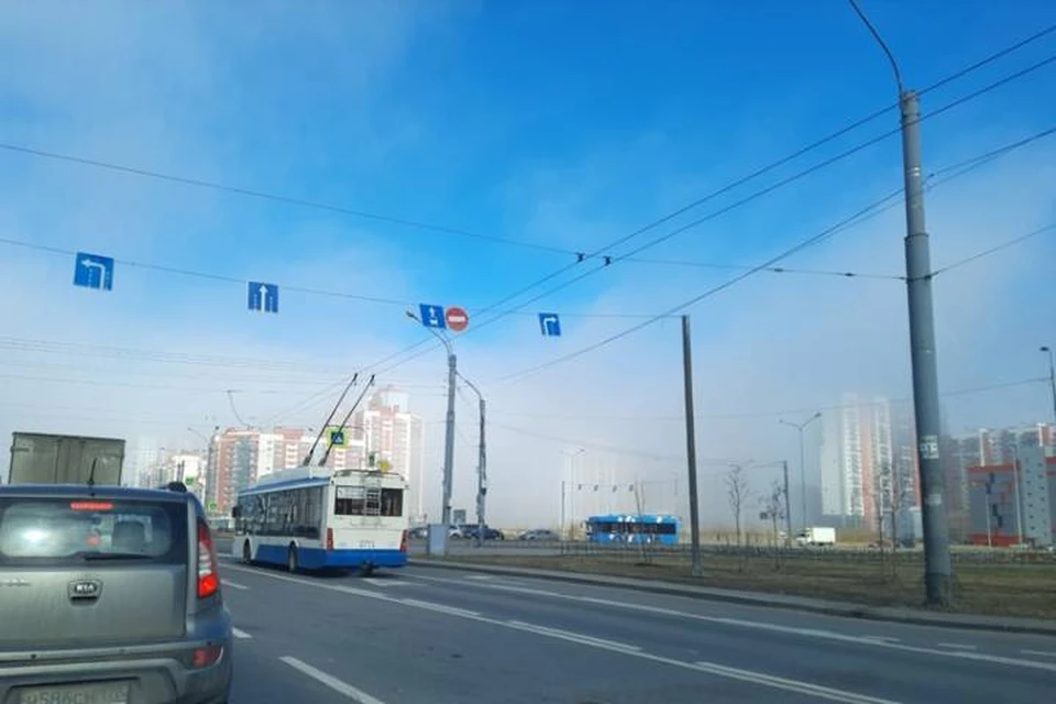 Синоптик объяснил появление тумана, испугавшего жителей Петербурга