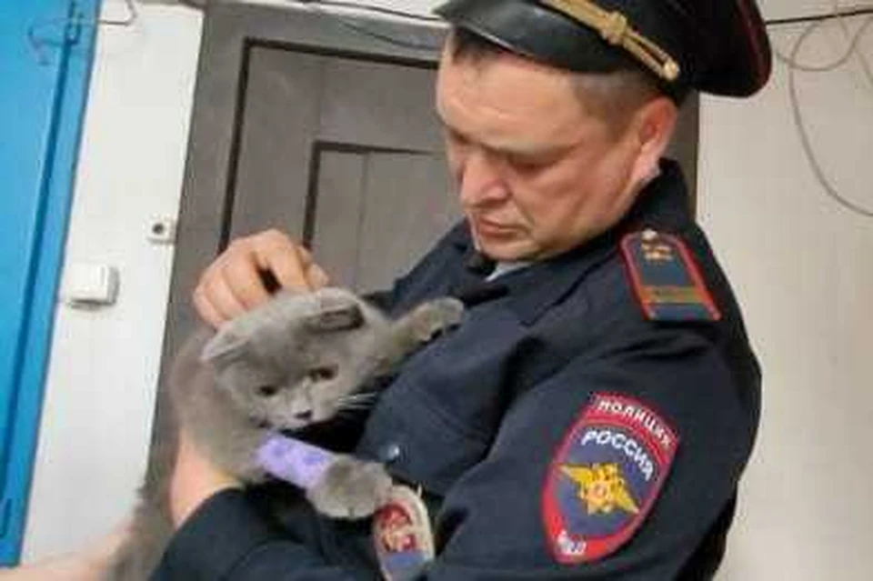 Полицейский вынес из задымленной квартиры кота Фото: ГУ МВД РФ по Краснодарскому краю