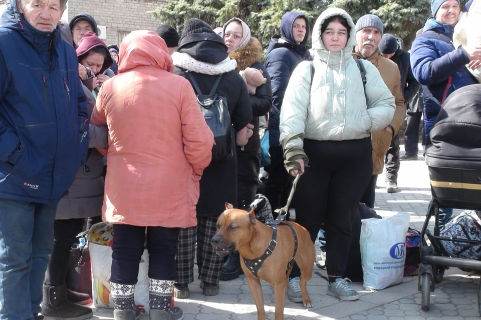 В Ростовской области приезжим прибывающим помогают волонтеры.