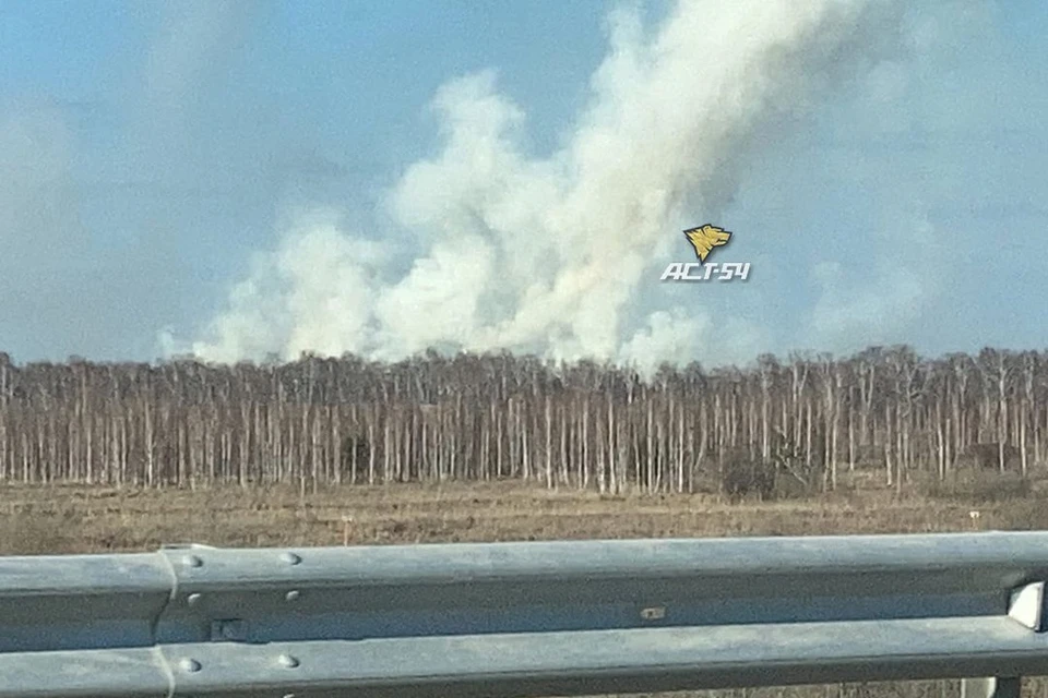 новосибирцев напугал огромный столб дыма, поднимающийся со стороны поселка Рыбачий. Фото: "АСТ-54"