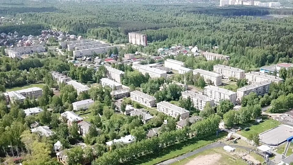 В рамках национального проекта «Демография» в Прикамье реализуются федеральный проект «Старшее поколение» и региональный проект «Активное долголетие» по направлениям.