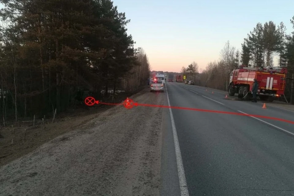 Фото: управление ГИБДД по Коми
