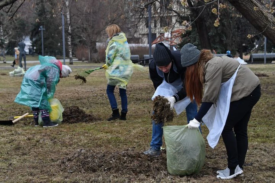 На уборку Владивостока вышли неравнодушные горожане.