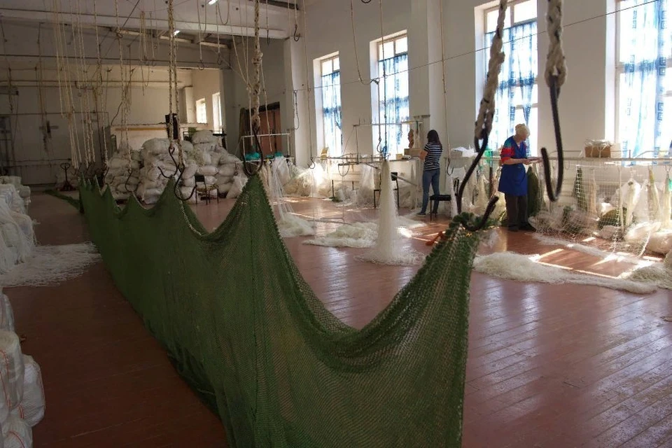 «Киви» применяет диверсификацию. Фото: архив «КП»-Севастополь»