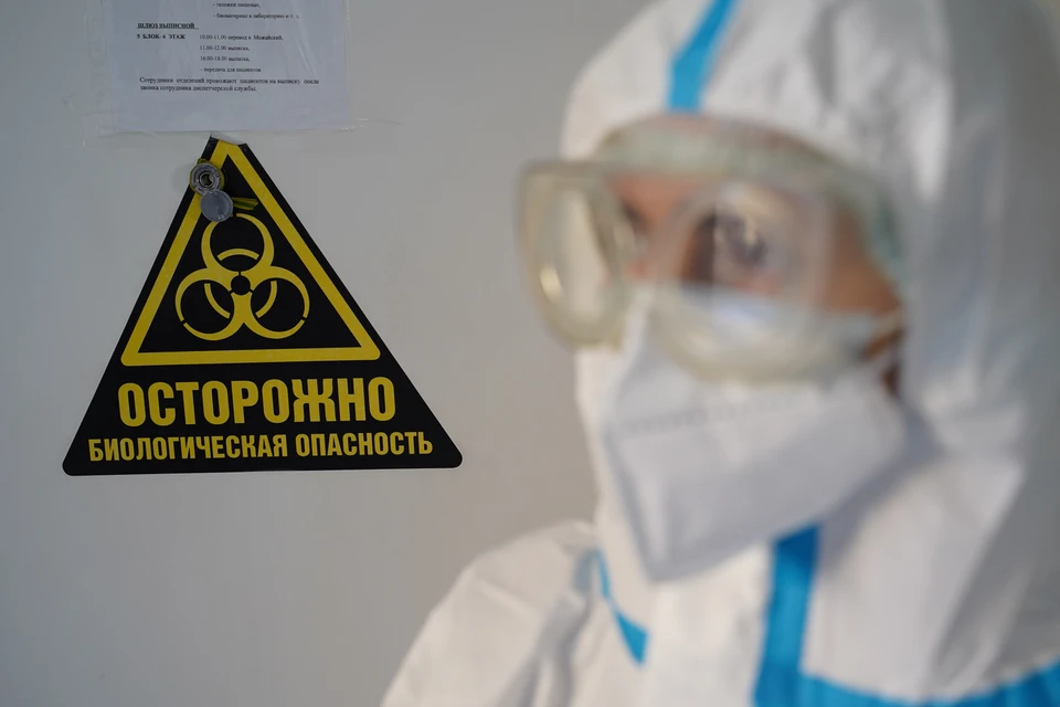Российским регионам рекомендовано проверить готовность больниц на случай обнаружения инфицированных холерой.