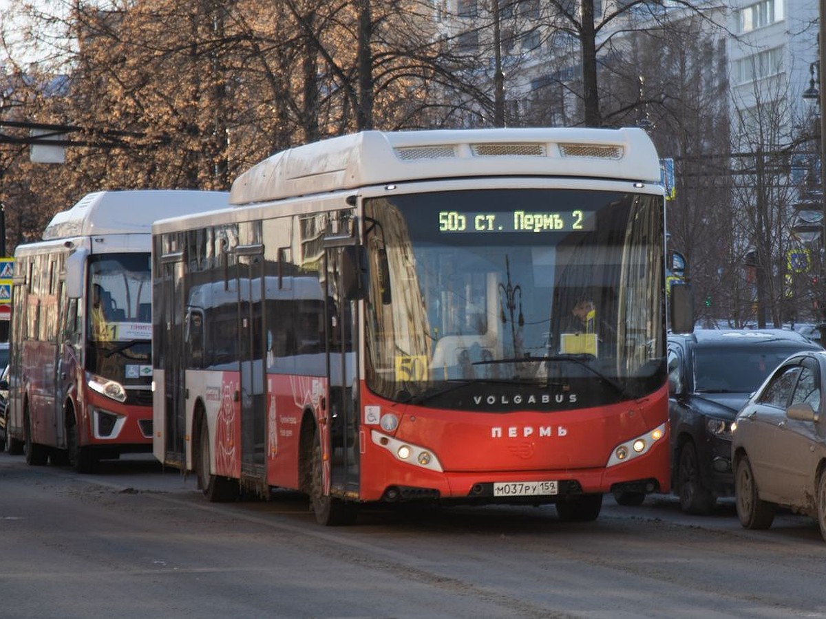 В Перми с начала мая меняются сразу пять автобусных маршрутов - KP.RU