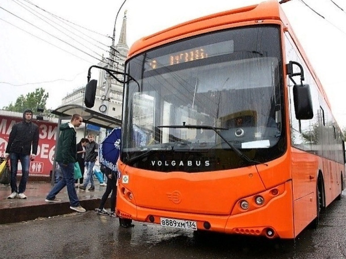 Расписание общественного транспорта в Волгограде на 1 мая 2022 года: ряд  маршрутов изменит схему движения - KP.RU