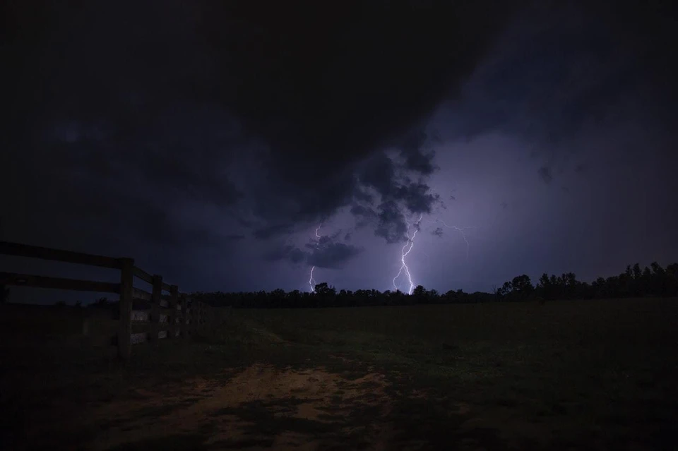 Фото: pexels.com