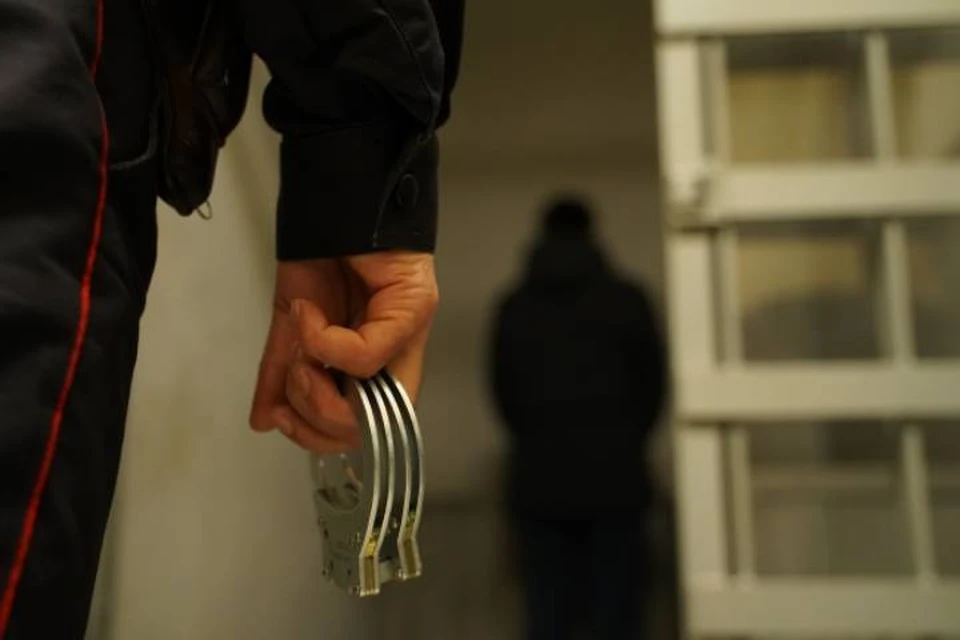 Подозреваемого в ряде преступлений мужчину доставили в отделение полиции