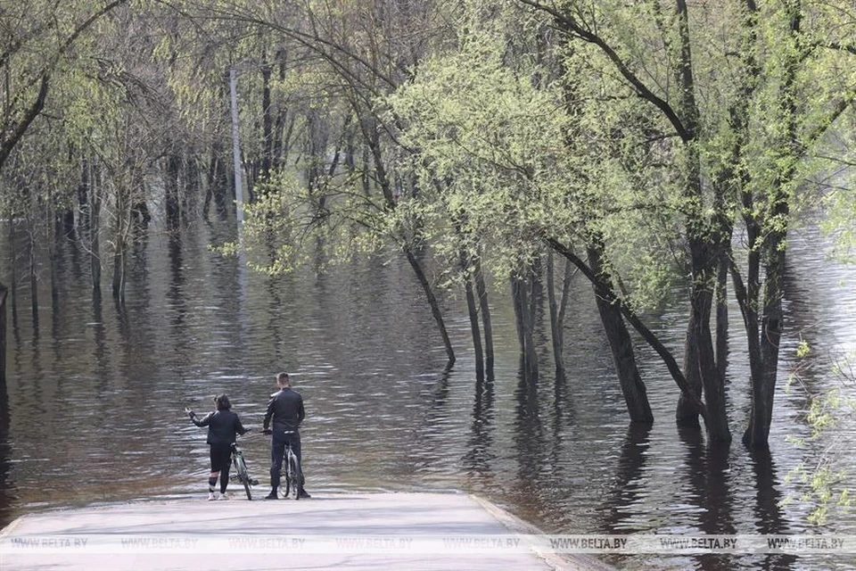 Паводок пришел в Гомельскую область, Сож разлился как никогда. Фото Сергея Холодилина, БелТА.