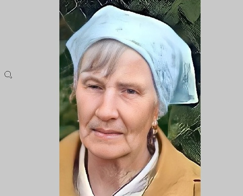 Фото: "Лиза Алерт"