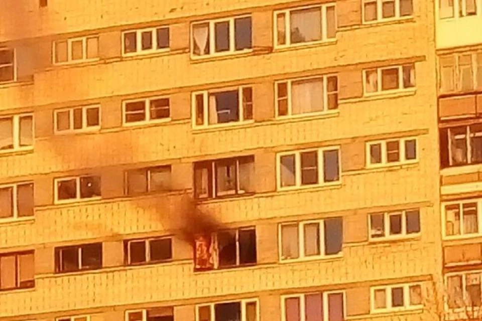 Житель Петербурга пострадал при пожаре на улице Костюшко ФОТО: t.me/Megapolisonline