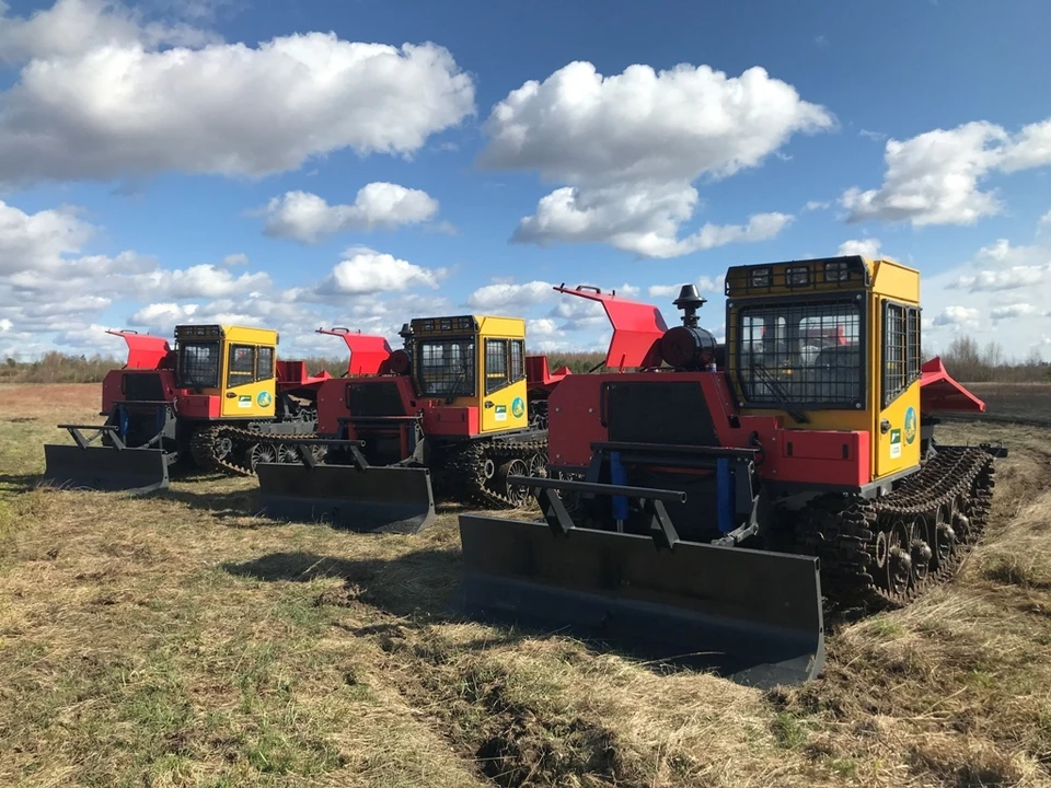 Источник фото: https://adm44.ru