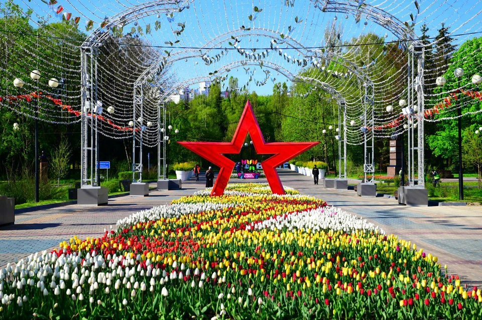 Тюльпаны продолжат радовать белгородцев и в День Победы. Фото из телеграм-канала Антона Иванова.