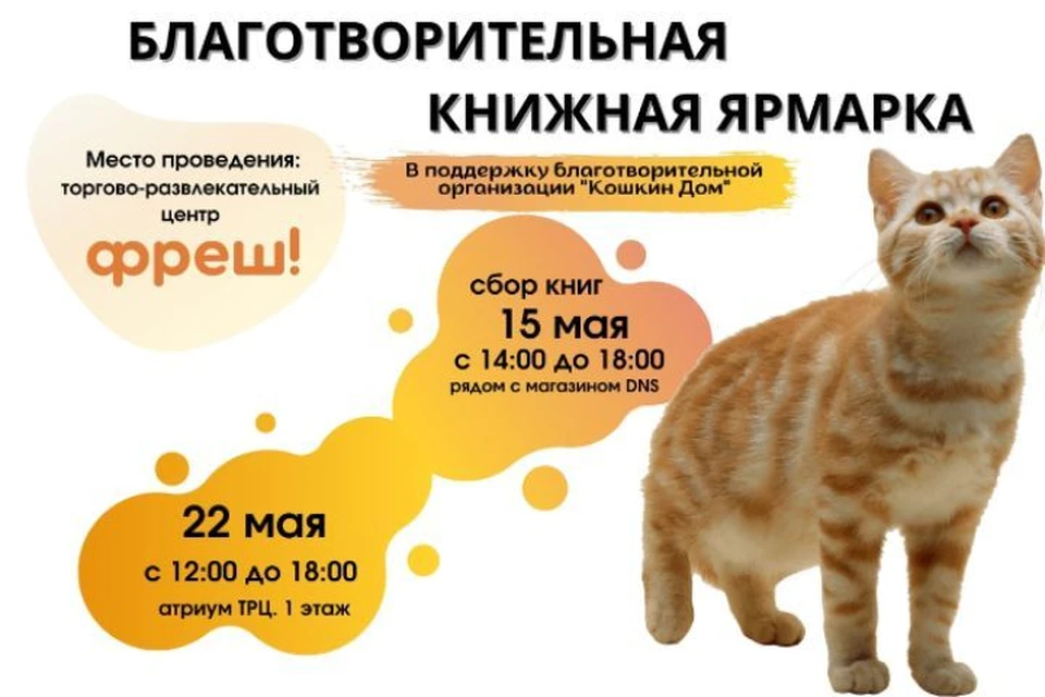 В Ярославле 22 мая пройдет ярмарка в поддержку бездомных животных. ФОТО: "Чистое сердце" ВКонтакте