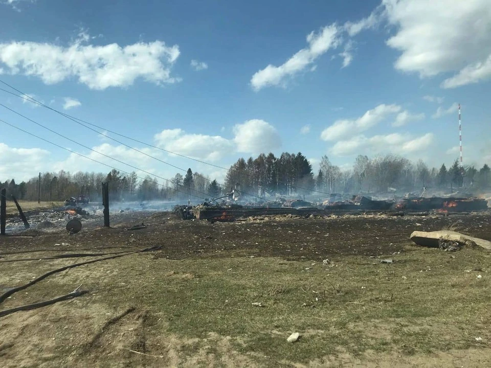 В Красноярском крае в больницах остались четверо пострадавших в пожарах. Фото: Илья Зайцев