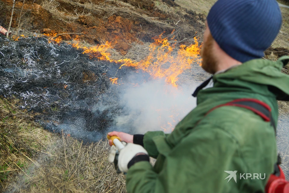 К утру 12 мая в Свердловской области огнем было охвачено 829 гектар лесов.