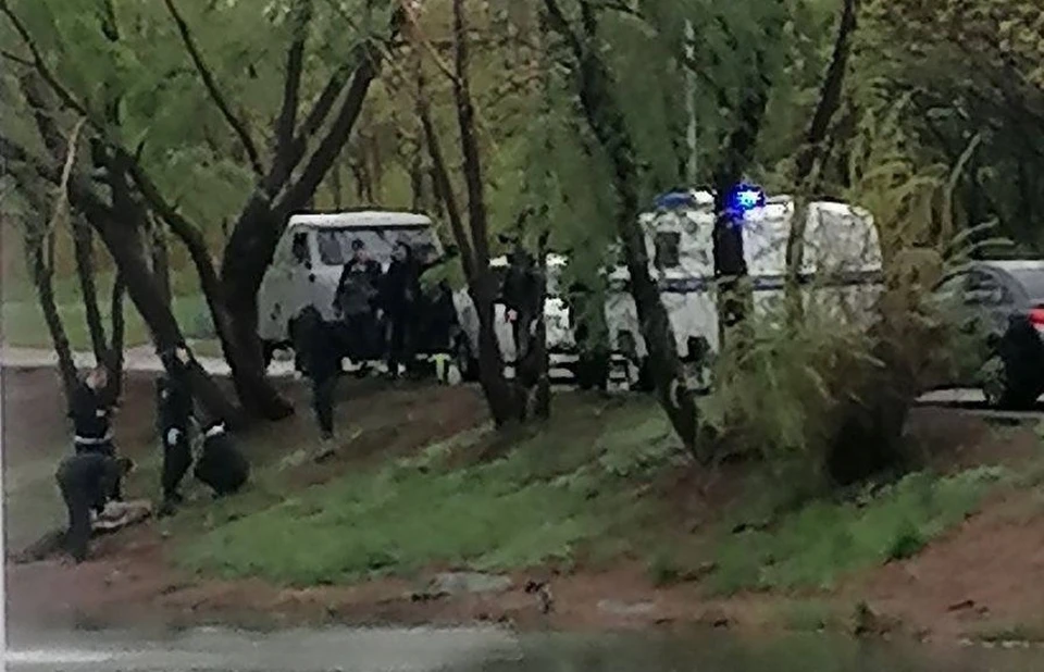 По факту случившегося в настоящее время проводится проверка
