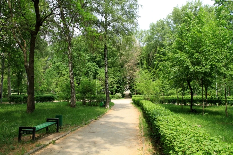 В парке "Алунел" и в других местах Кишинева отменяются все мероприятия. Фото: соцсети