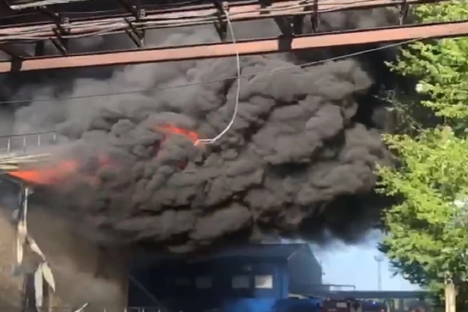 Под Новосибирском на предприятии произошёл крупный пожар. Фото: стоп-кадр.