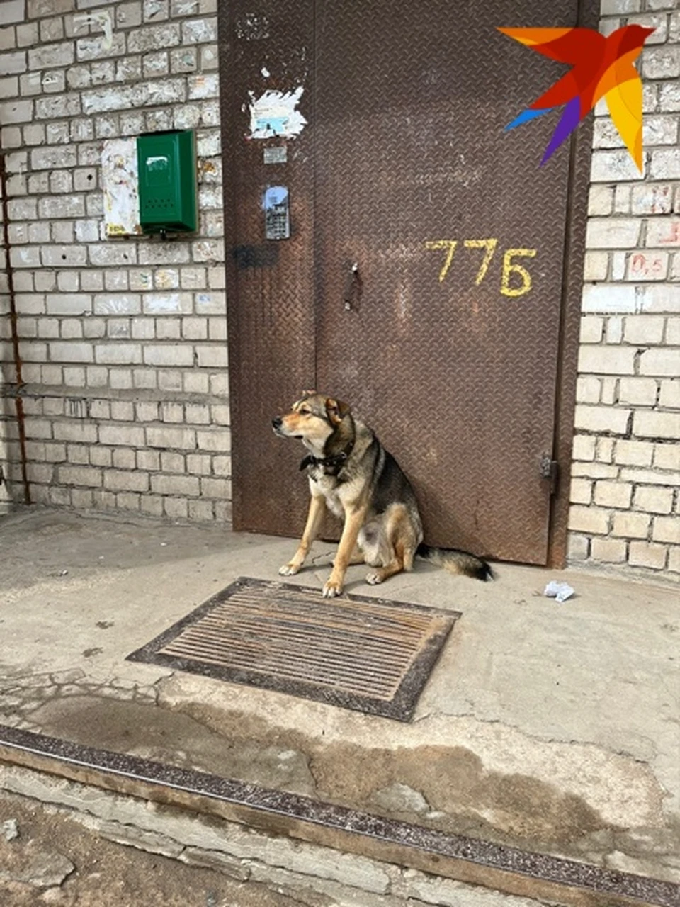 Фото: Нинель Бессонова