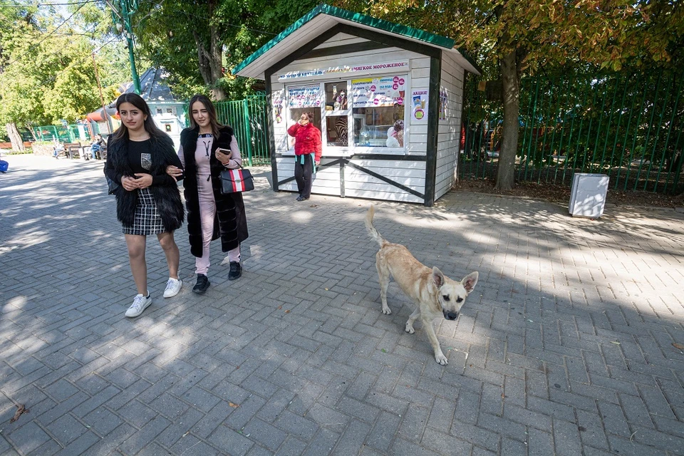 До конца июля в парке будут уложены плитка и утолщенное резиновое покрытие на детских площадках.