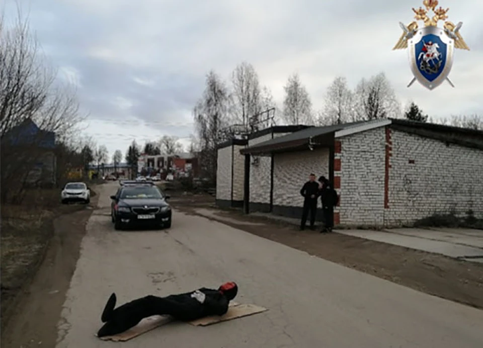 Уголовное дело в отношении жительницы Павлова, наехавшего на многодетного отца, передали в суд.