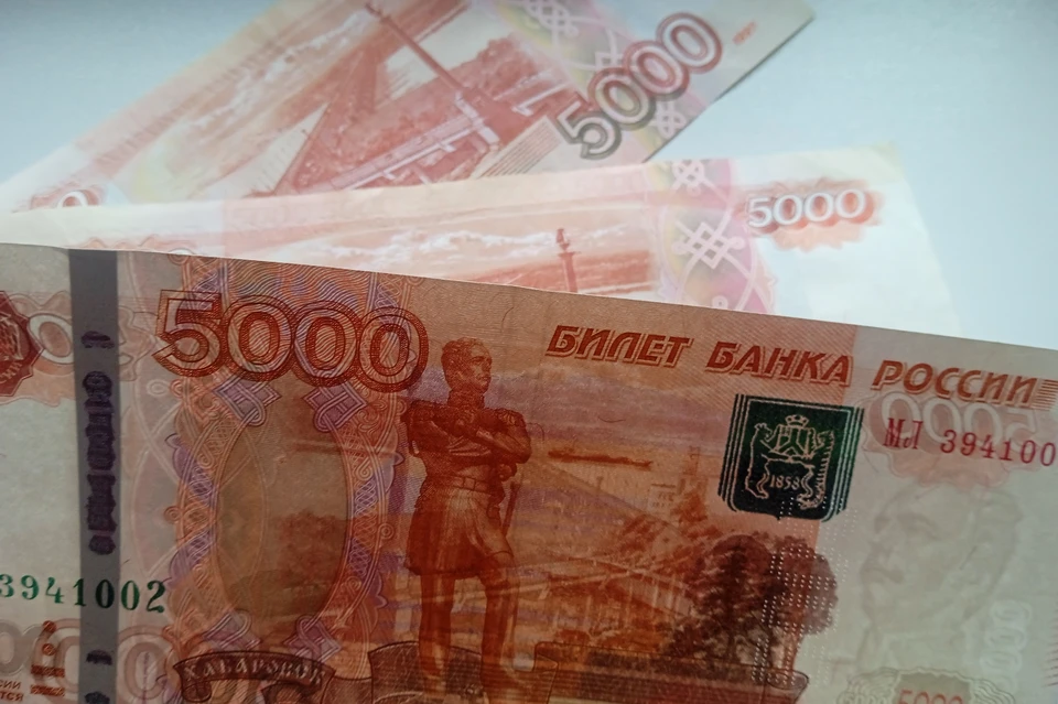 В Липецкой области вновь выявили фальшивые купюры