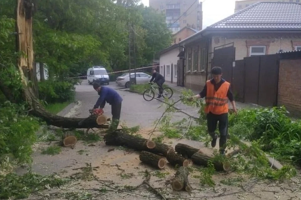Последствия стихии сейчас ликвидируют коммунальные службы. Фото: страница в VK сити-менеджера Алексея Логвиненко