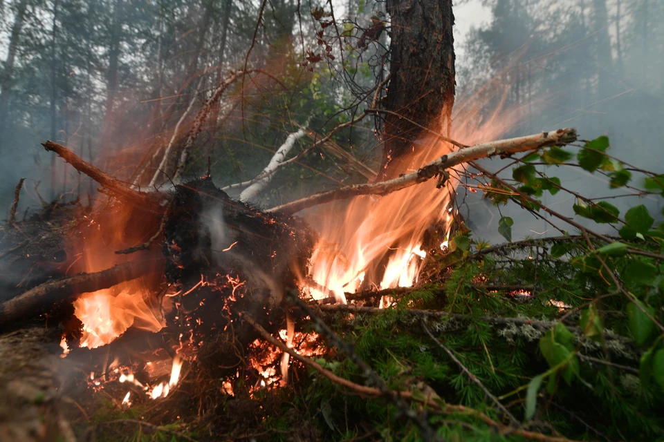 Почти 300 тонн воды сбросили самолеты Бе-200 на лесные пожары в Иркутской области