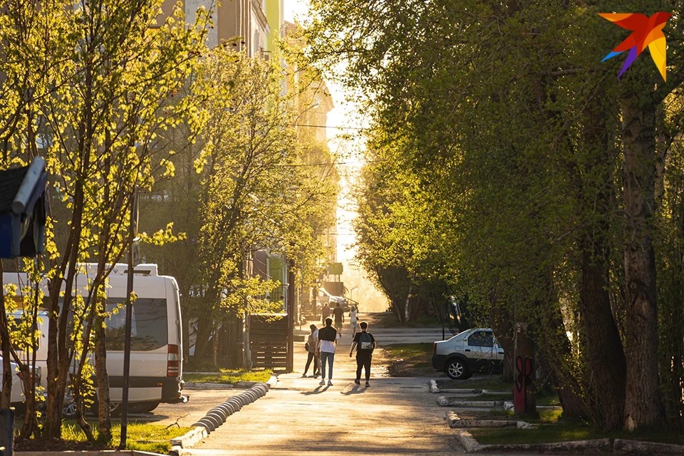 В Мурманскую область спешит потепление. 25 мая синоптики обещают прогрев воздуха до +19 градусов.