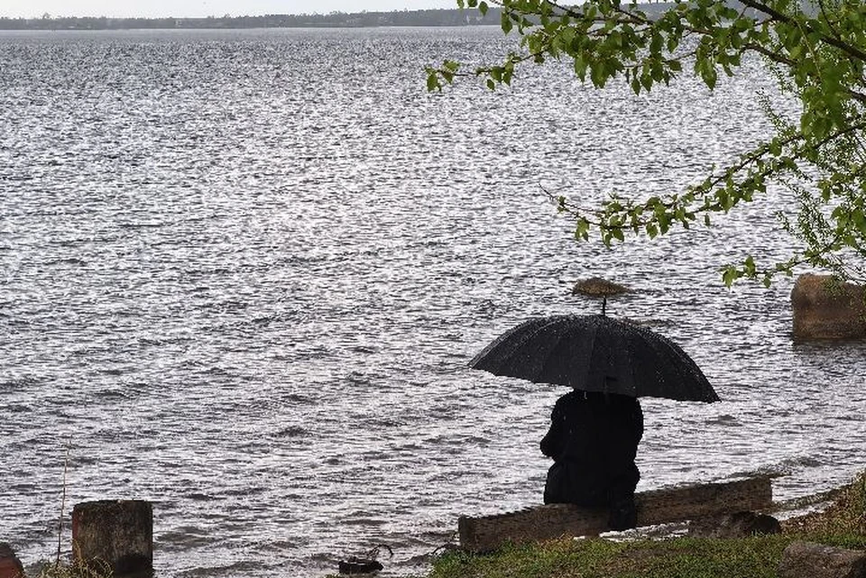 Последние дни весны в Ярославле, по прогнозам синоптиков, будут дождливыми