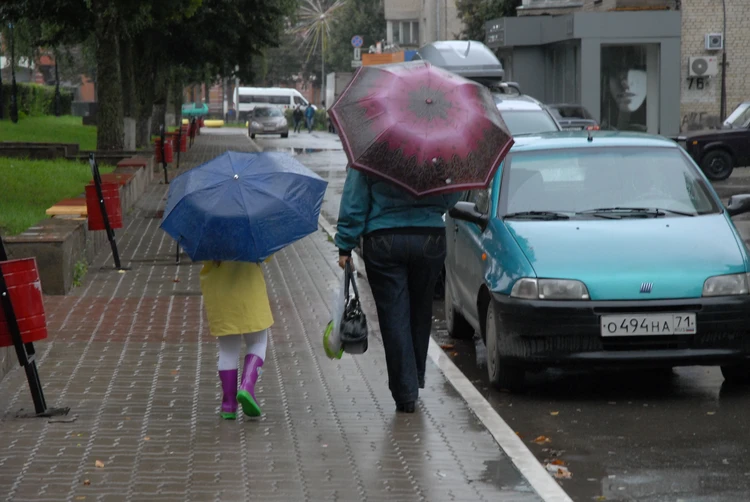 Облачно и дождливо: прогноз погоды в Туле на 27 мая