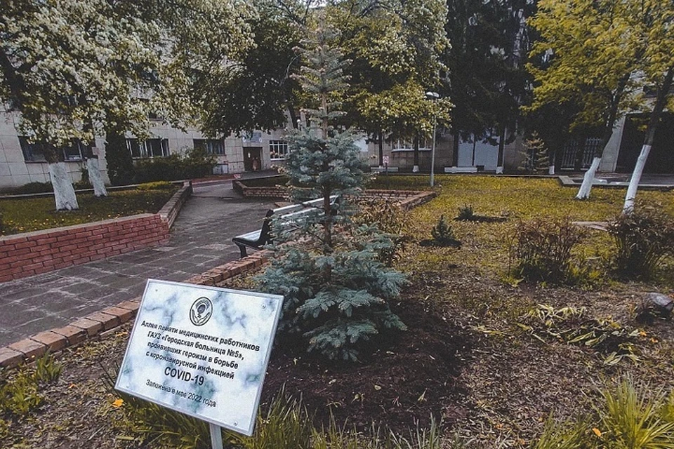 На аллее высадили ели. Фото: @bolnica5chelny