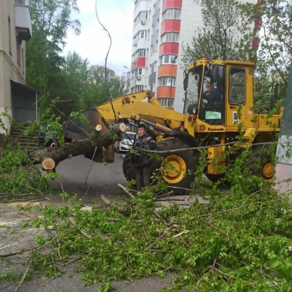 Утром столичное управление МЧС предупредило жителей Москвы о возможном возникновении ЧП из-за приближающихся гроз и сильного ветра.