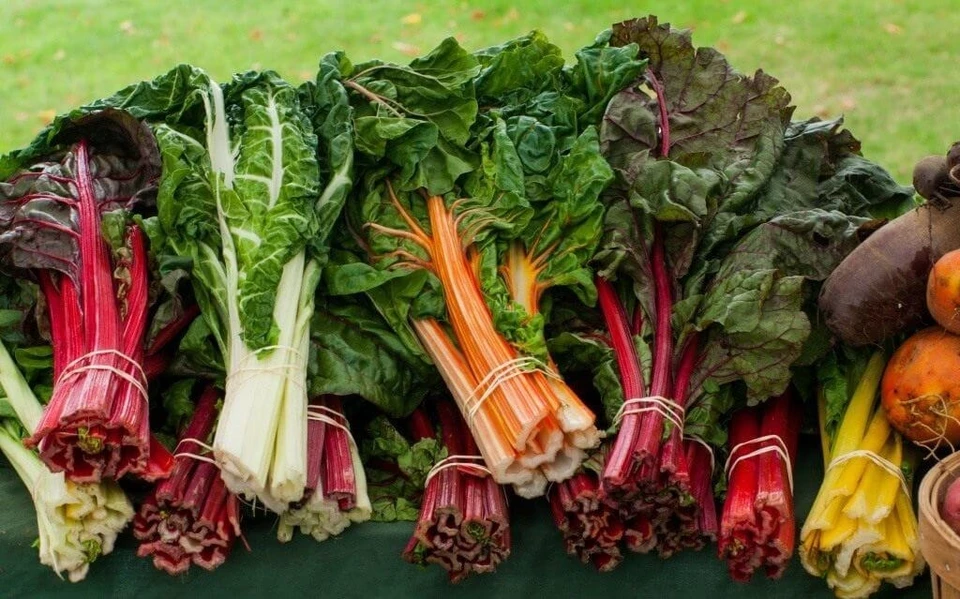Мангольд - прекрасный во всех отношениях листовой овощ. Пропишите его на грядке! Фото: foodandhealth.ru