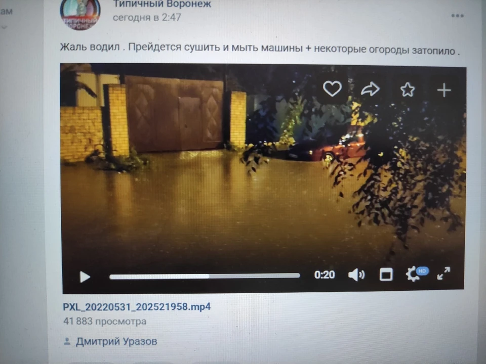 Горожане выкладывают фото и видео в социальные сети