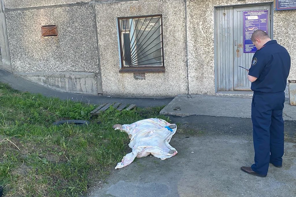 Проводится доследственная проверка. Фото: СУ СКР по Мурманской области