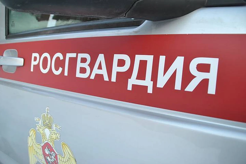 Сотрудники передали подозреваемых сотрудникам полиции.